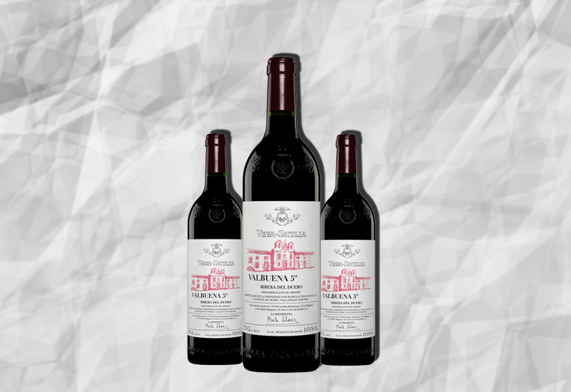 Vega Sicilia Valbuena: 10 Best Bottles, Tasting Notes, Prices (2024)