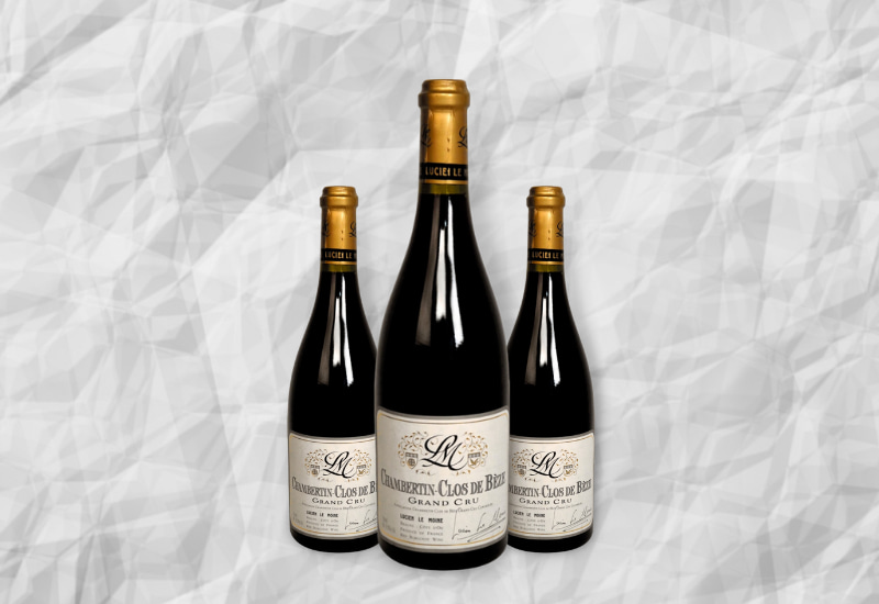 Chambertin Clos de Beze AOC, Burgundy (10 Best Wines, Prices)