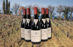 Chateau Rayas (Winemaking, Best Wines, Prices 2024)