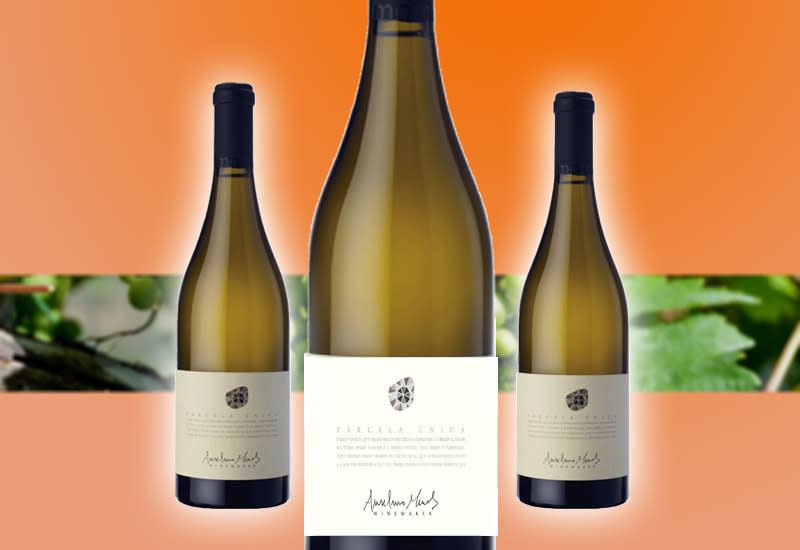 Vinho Verde (Wine Styles, Best Wines, Prices 2024)