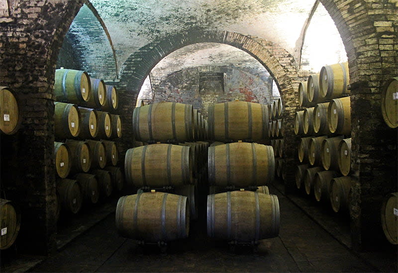montepulciano-winery-villa-s-anna-winery.jpg