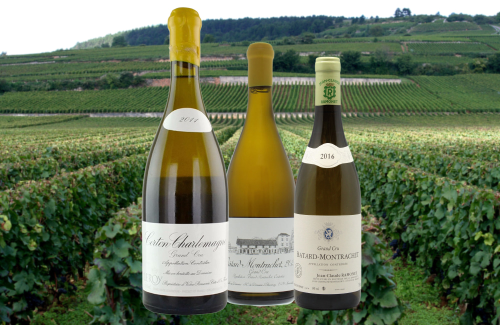 Cote de Beaune Wine: Communes, 10 Delicious Bottles To Buy (2022)