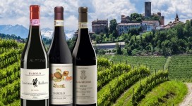 Før modtage Sovesal Guide to Barolo Wine, Italy (10 Best Wines in 2023, Taste, Prices, Terroir)