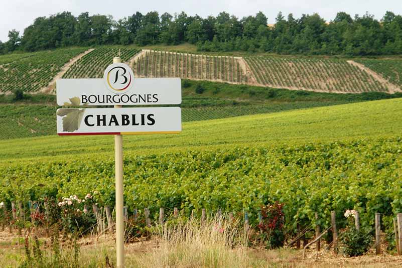Chablis Vs Chardonnay Terroir, Winemaking, Flavors, Food Pairings