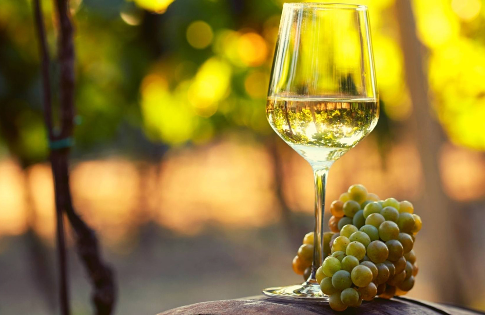 Ultimate Guide To Wine Valuation (2023)