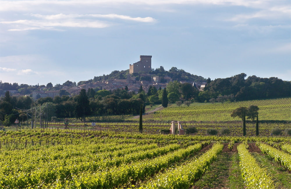 欲しいの まぁや Chateauneuf du pape 2010 ワイン - nsys.org.in