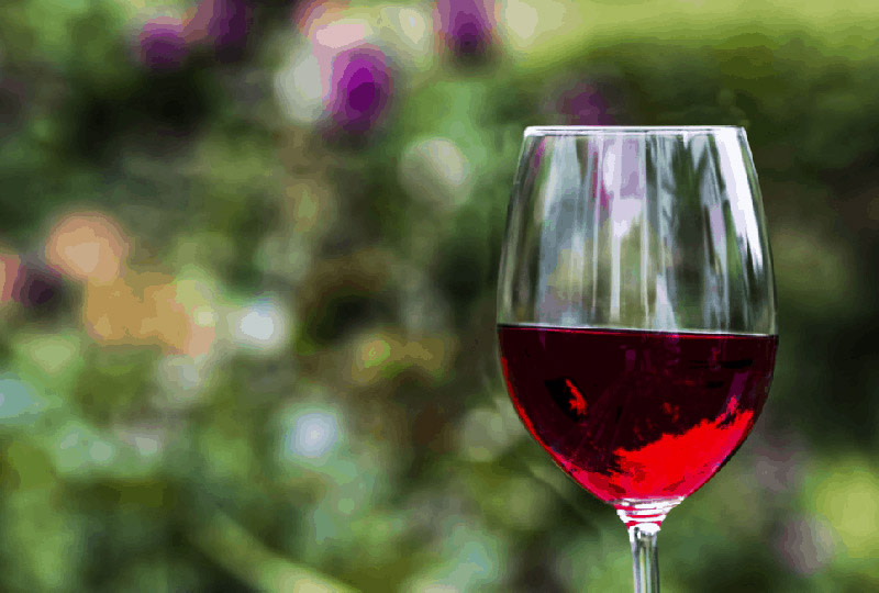 10 Best Sweet Red Wine Bottles to Sip in 2023 (Flavors, Styles, Winemaking)