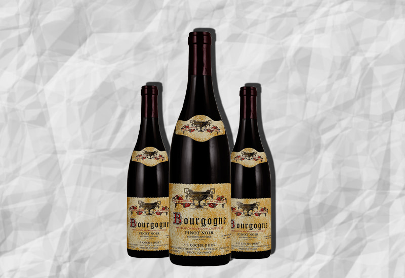 Bourgogne Pinot Noir (8 Best Wines, Taste, How It Is Made)