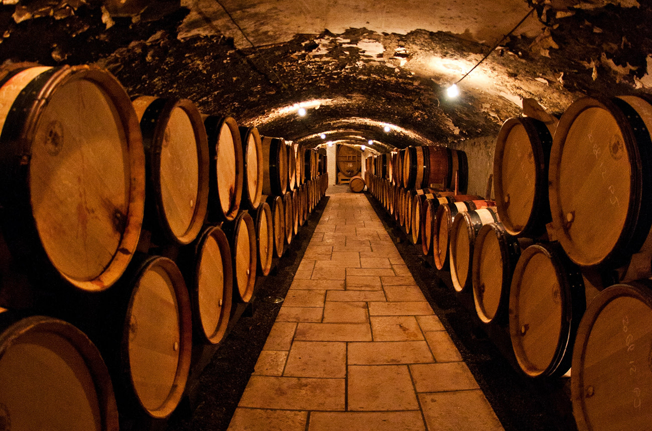 The Wine Making Process (6 Key Steps + How to Make Wine at Home)