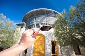 Opus One (Winemaking, Best Wines, Prices 2024)