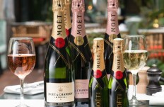 Moet champagne • Compare (100+ products) see prices »