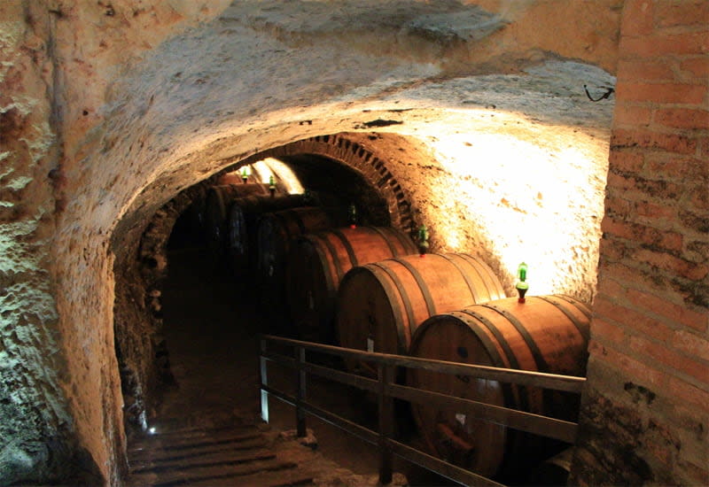 montepulciano-winery-gattavecchi-winery.jpg