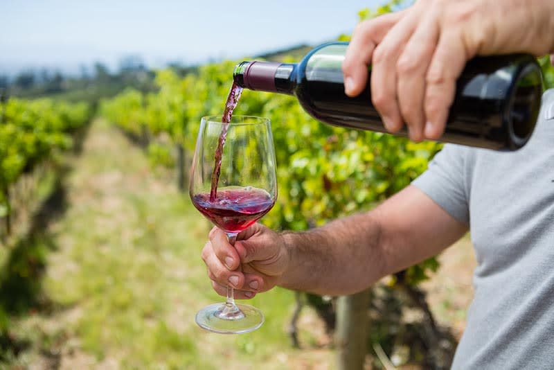 What is Natural Wine? (10 Best Bottles 2024, How It’s Made, Taste)