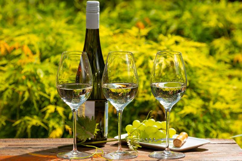 10 Most Popular German White Wine Styles Best Bottles To Buy Now