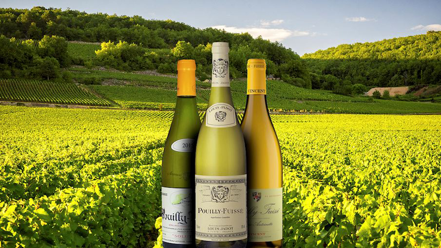 Pouilly Fuisse, Burgundy (10 Best Chardonnay Wines, Prices 2024)