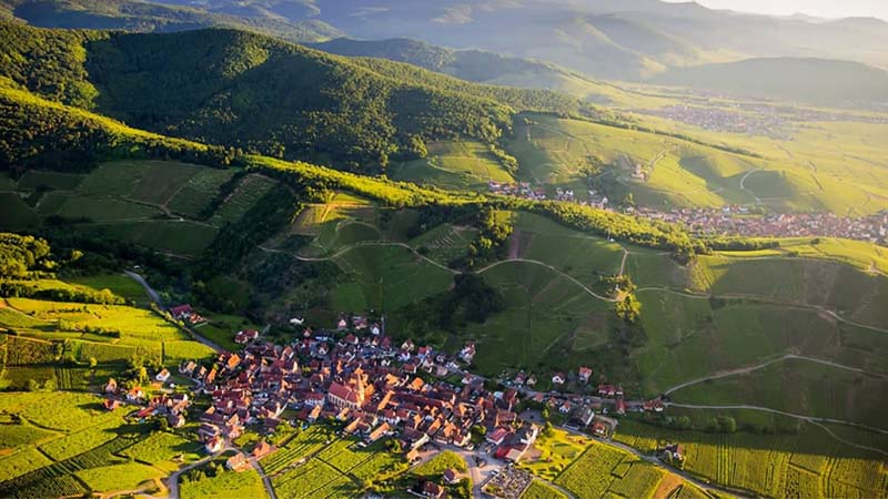Alsace-Wineries-1.jpg