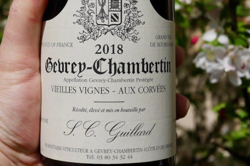 Gevrey Chambertin (Terroir, Winemaking, Best Wines 2023)