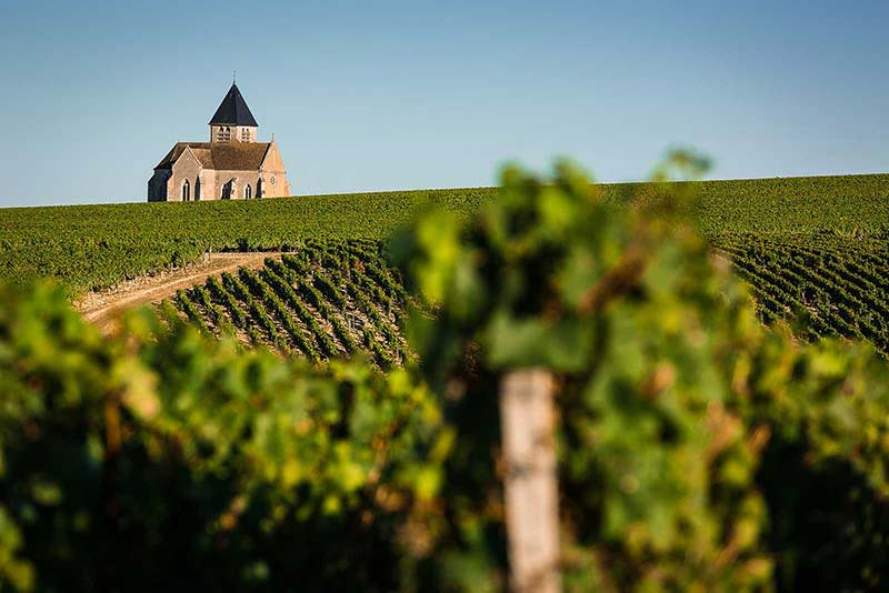 Chablis Vs Chardonnay Terroir, Winemaking, Flavors, Food Pairings