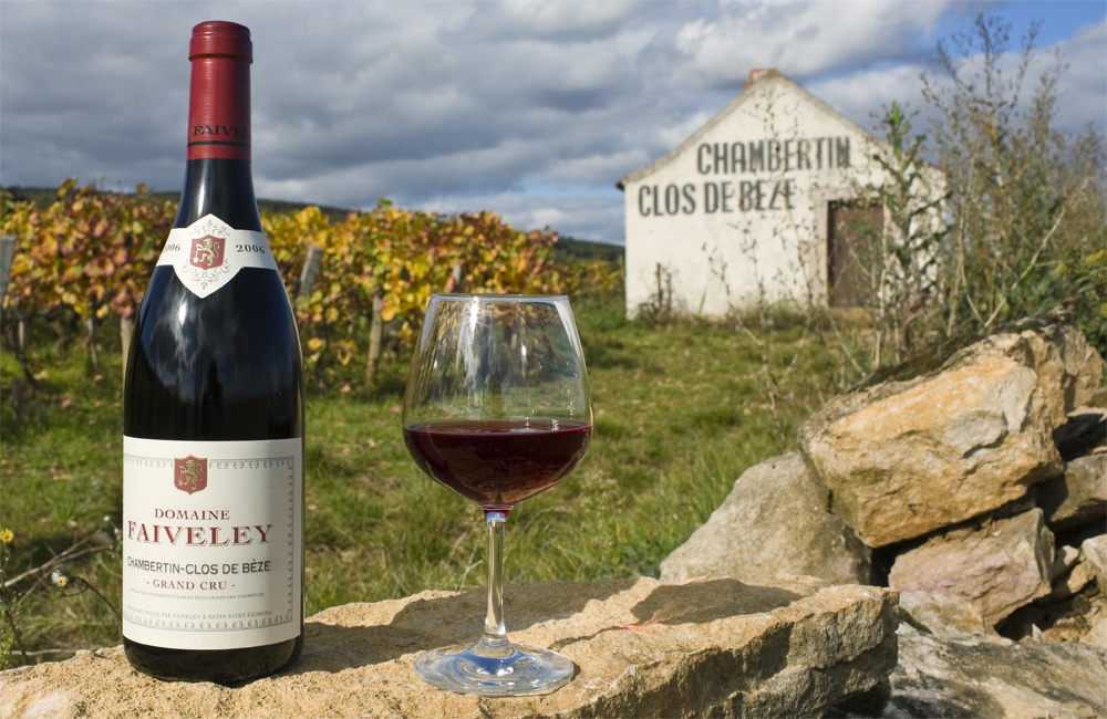 Chambertin Clos de Beze AOC, Burgundy (10 Best Wines, Prices)
