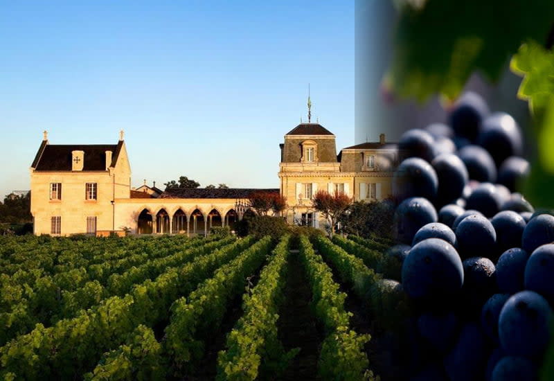 Château Haut Brion Winemaking, Best Wines, Prices (2023)