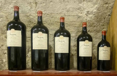 Guide to Magnum Wine: Wine Bottle Sizes, 8 Best Magnums (2024)