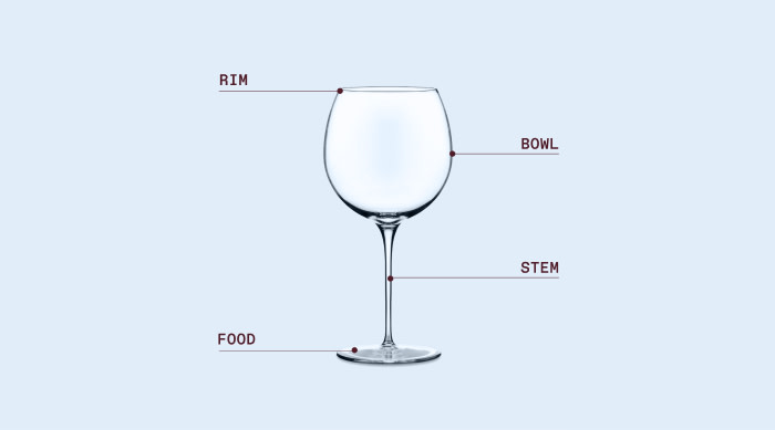 Wine Glass (Styles, Best Wine Glasses for Each Wine Type)