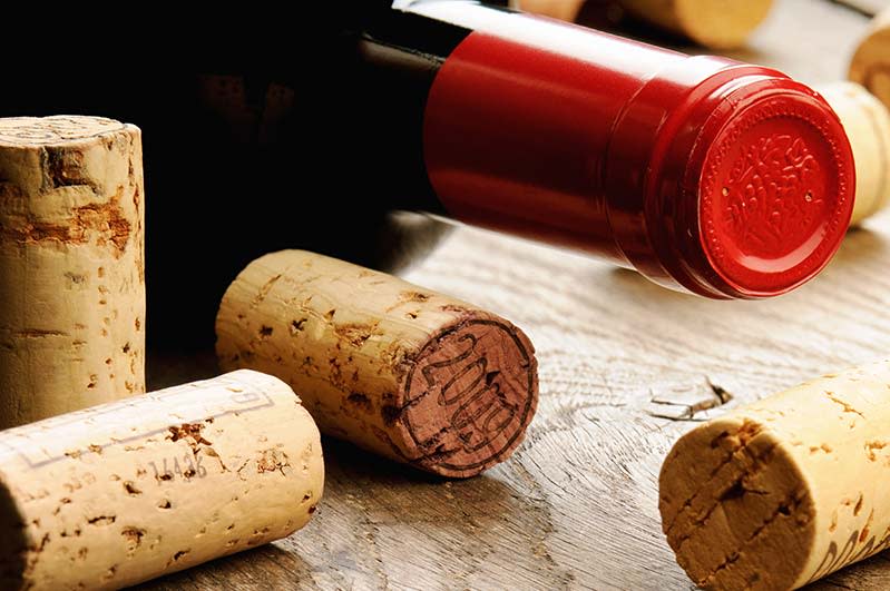 Guide To Burgundy Wine Subregions, 13 Best Wines, Prices (2023)