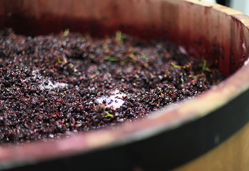 White Port Wine 101 Tasting Notes, Food Pairings, 10 Best Bottles (2023)