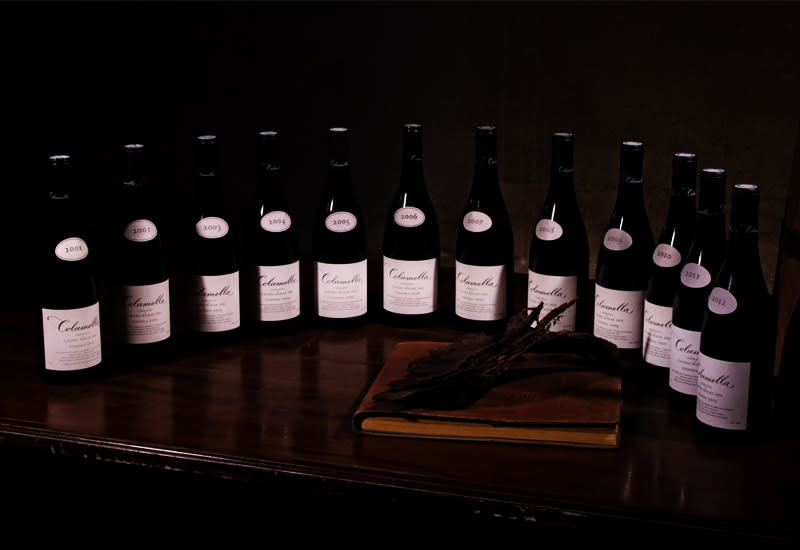 Shiraz (History, Regions, Best Wines 2023)