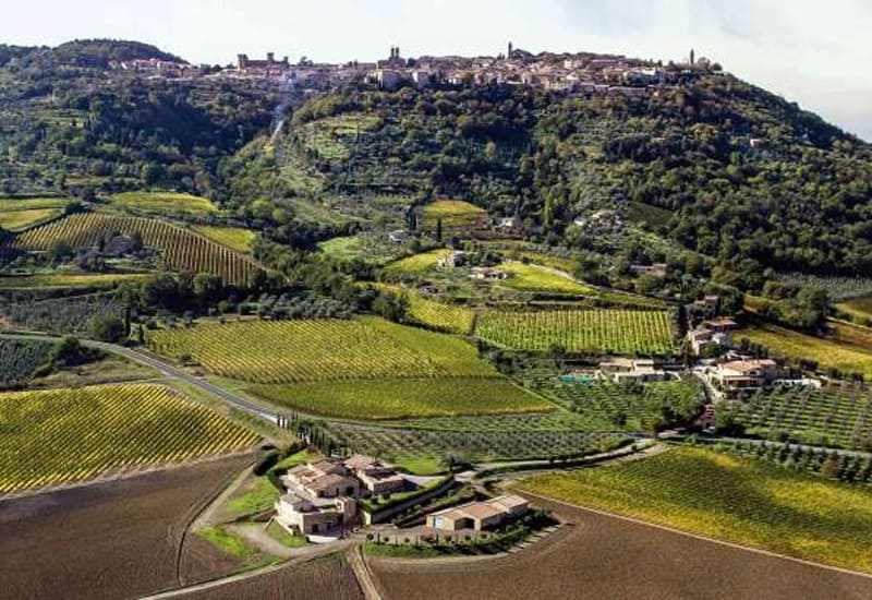 montepulciano-winery-canalicchio-di-sopra-winery.jpg