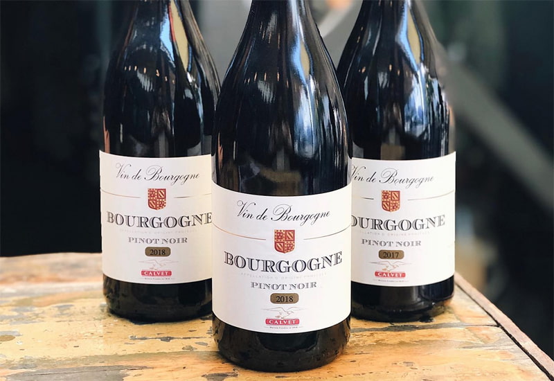 Bourgogne Pinot Noir (8 Best Wines, Taste, How It Is Made)