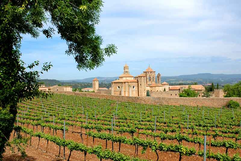 10 Most Famous Spanish Wine Regions (Winemaking, Best Wines 2023)