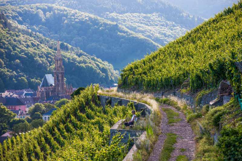 winery tours alsace france