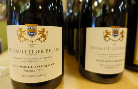 Thibault Liger Belair, Burgundy: 10 Best Wines (2024), Flavors