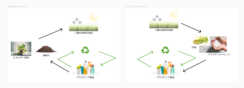 ポリ乳酸グリーンプラスチックの開発と応用 ポリ乳酸: 植物由来プラスチックの基礎と応用 | 辻 秀人 |本