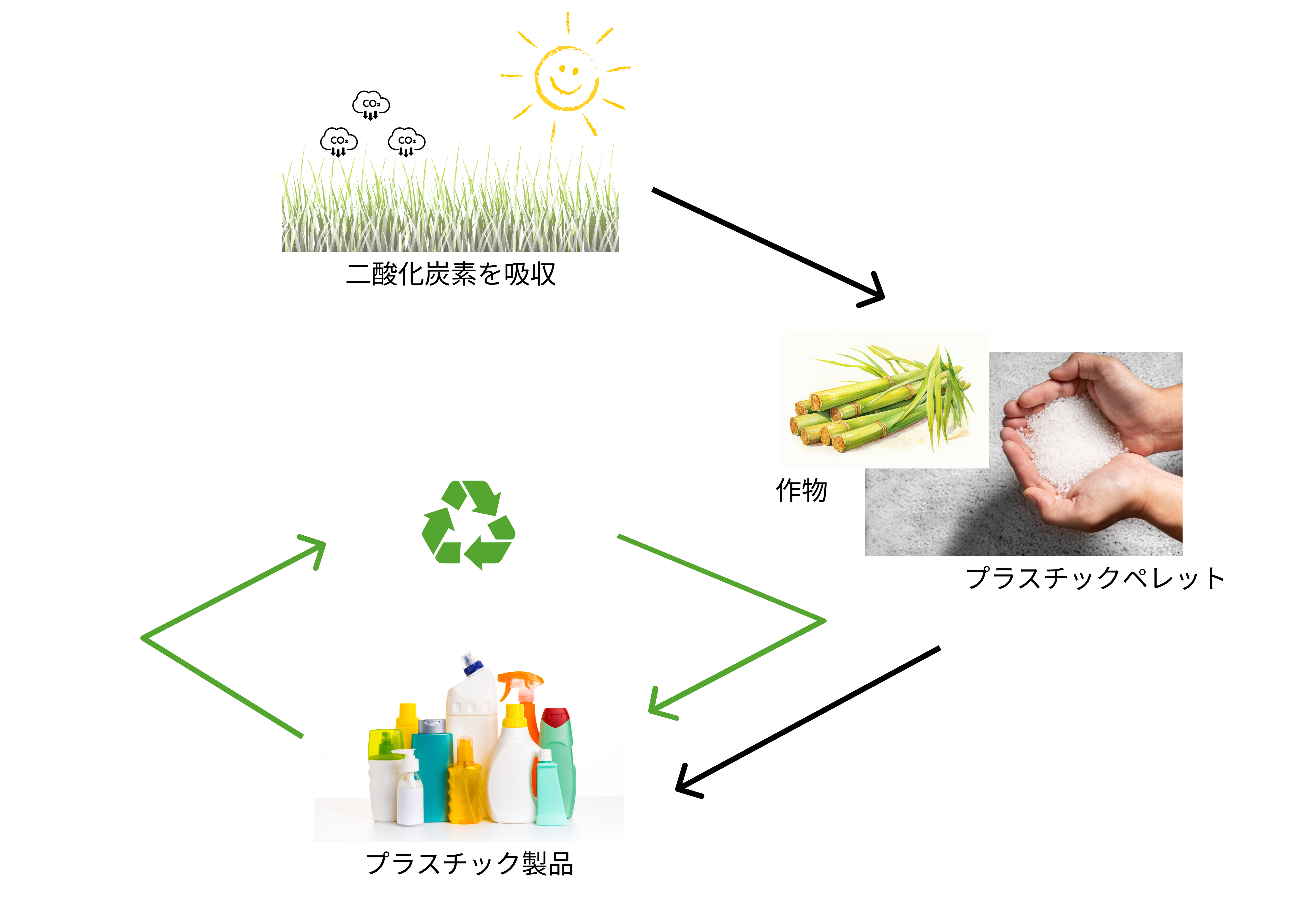 技術者が語る②「バイオマスプラスチックとは」 - plaplat
