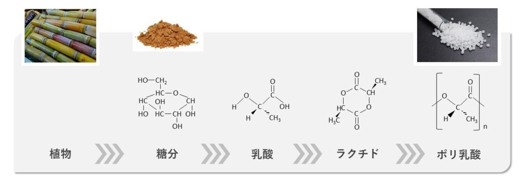 プラスチックの気候変動課題を解決するPLA(ポリ乳酸)樹脂を分かりやすく解説 - plaplat