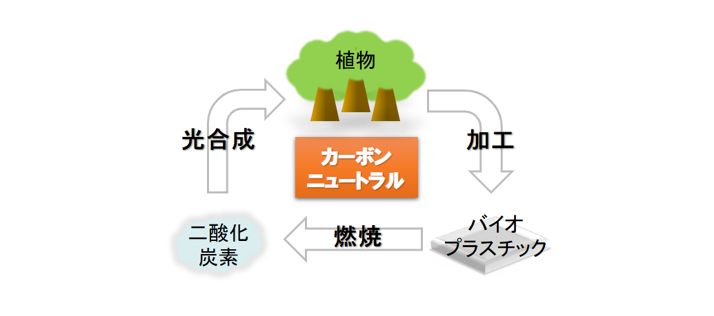 プラスチックと共に歩む社会 ー素材の功罪と未来 ⑧ バイオ