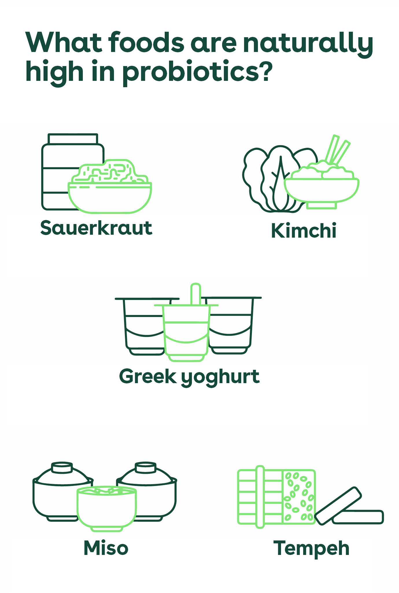 An infographic showing probiotics found in sauerkraut, kimchi, Greek yoghurt, miso and tempeh