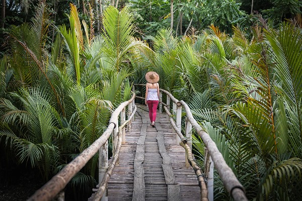A woman walking along a board walk in a rainforest