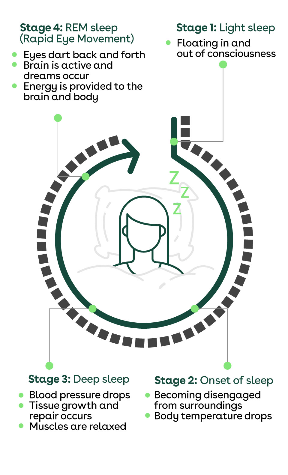 An infographic displaying the four stages of sleep - light sleep, onset of sleep, deep sleep, and REM sleep, and their benefits