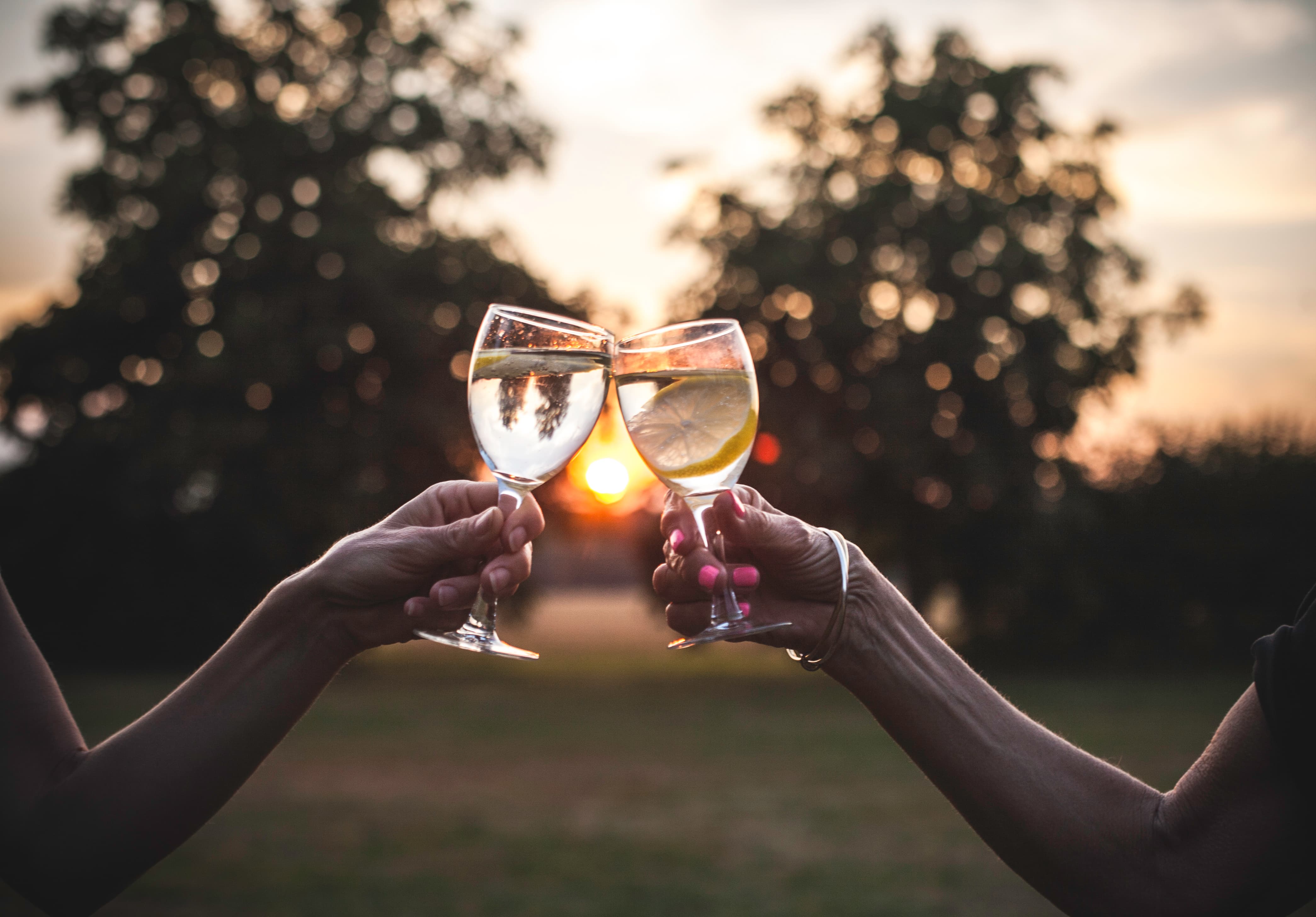 Two people clinking glasses of water and lemon together in front of a sunset.