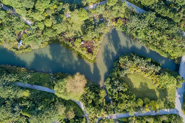 An aerial shot of Gardens by the bay, Singapore