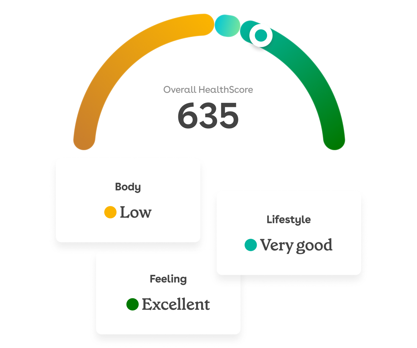 HealthScore infographic depicting: Overall HealthScore = 635 with Body = Low, Lifestyle = Very good and Feeling = Excellent