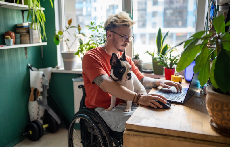 Man in a wheelchair with his dog on his lap, sitting down at a desk using his laptop. 