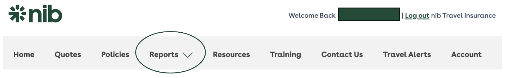 View invoice statement screenshot