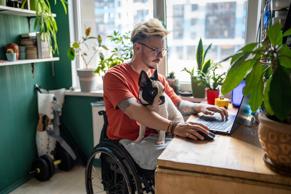 Man in wheelchair sitting at a desk concentrating on a laptop while a puppy sits in his lap