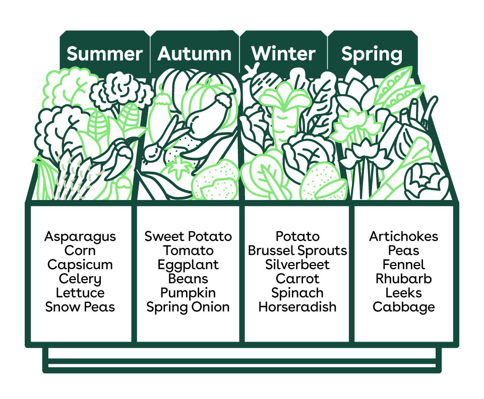 An infographic depicting the vegetables that are in season at different times of year.