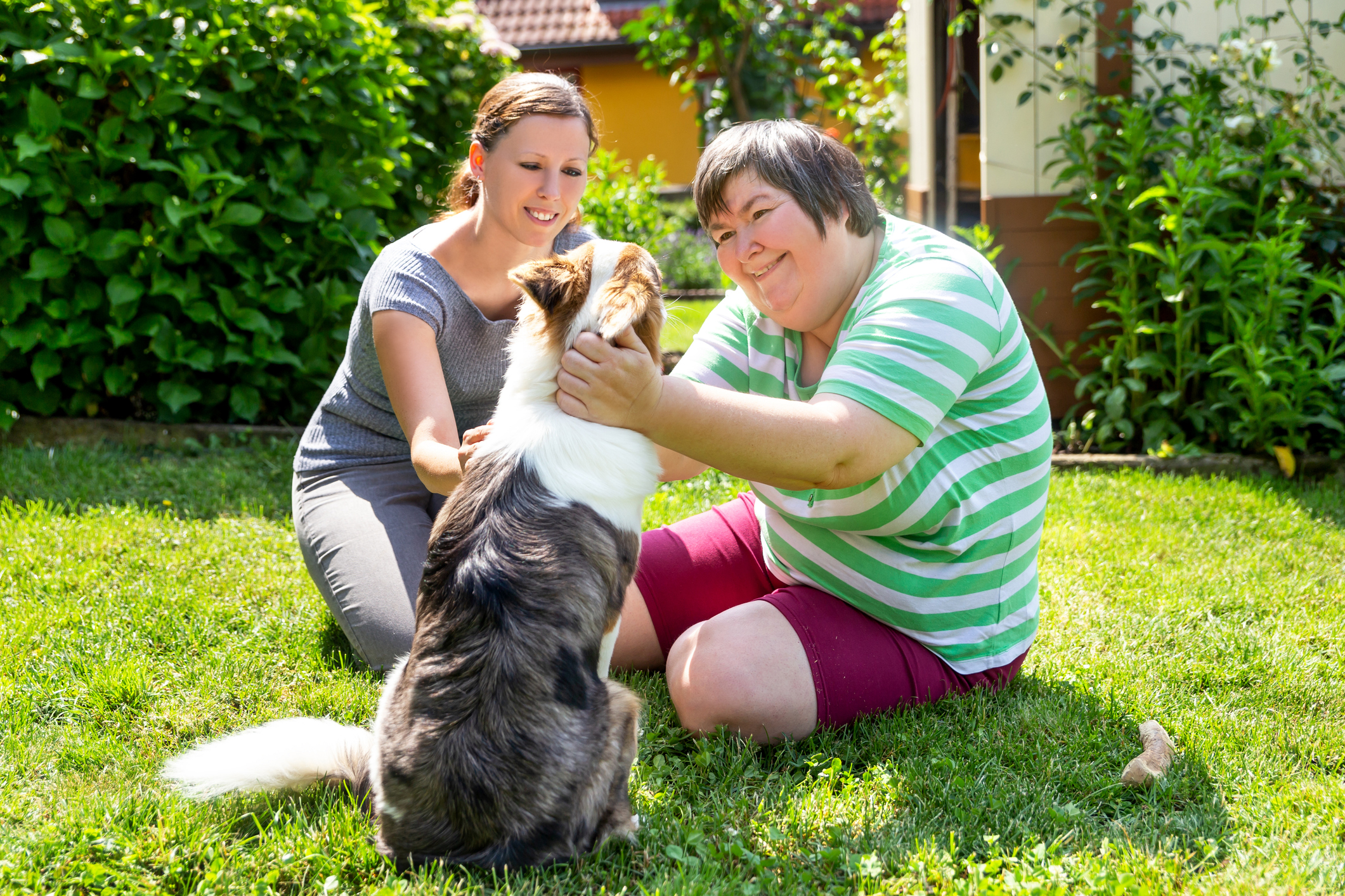 Two women sit on the grass in the sun, patting a dog who is sitting in front of them