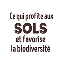 Ce qui profite aux sols et favorise la biodiversité